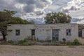 Young greater rhea in front of an old house in Patagonia, Argentina Royalty Free Stock Photo