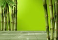 Young, green bamboo in the background boke Royalty Free Stock Photo