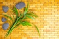 Young green bamboo branches and leaves on wooden carpet background texture. Spa, welbeing, zen concept