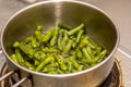 Young green bean, green bean pods, preparing the podole Royalty Free Stock Photo
