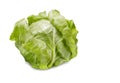 Young green cabbage isolated on white background Royalty Free Stock Photo