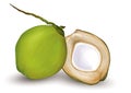 Young Green Coconut