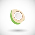 Young green coconut vector flat icon Royalty Free Stock Photo