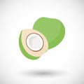 Young green coconut vector flat icon Royalty Free Stock Photo