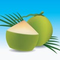 Young green coconut