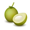 Young green coconut Royalty Free Stock Photo