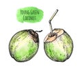Young green coconuts. Royalty Free Stock Photo