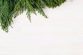 Young green conifer branches with copy space on white wooden table background. Royalty Free Stock Photo
