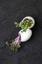 A young green cress-salad in an egg-shell on a black textured stone background Royalty Free Stock Photo