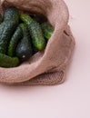 Young green cucumbers in a bag