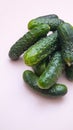 Young green cucumbers