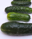 Young green cucumbers