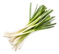 Young green garlic on a white background. Isolated Royalty Free Stock Photo