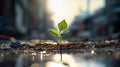 A young green plant breaks through the asphalt in the city center, symbolizing natures resilience and the importance of ecology Royalty Free Stock Photo