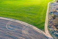 Young green plowed fields in Belarus. Agriculture landscape, aerial photo Royalty Free Stock Photo