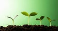 Young green seedlings sprouting from dark soil against a bright green gradient background Royalty Free Stock Photo
