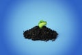 Young green sprout in the ground on a blue background. Seedling of seeds. The growth of new life. spring Royalty Free Stock Photo