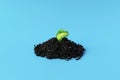 Young green sprout in the ground on a blue background. Seedling of seeds. The growth of new life.