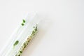 Young green sprout of herbs in glass test tubes on white background with copy space, above. Natural pharmaceutical research Royalty Free Stock Photo