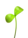 Young green sprout isolated