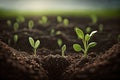 Young green sprouts in the ground in a spring, created with Generative AI technology