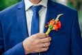 Young groom in a stylish blue wedding suit holds a wedding attribute a boutonniere with his hand with golden ring on his Royalty Free Stock Photo