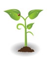 Young growing plant Royalty Free Stock Photo