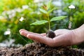 Young growing plant on the human hand with icon of watering shower, fertiliser, thermometer and raincloud for planting technology Royalty Free Stock Photo