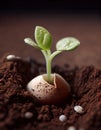 Young growing seed sprout in eggshell in early spring on soil. Generative AI