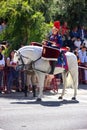 A young guardsman of Spain riding a white horse during the parade