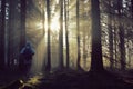 Young guy with a backpack standing in a forest in the mist at sunrise Royalty Free Stock Photo