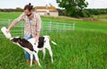 Guy feeds two week old calf from bottle with dummy at lawn Royalty Free Stock Photo