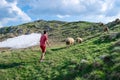 Young guy near herd of sheep, that grazes on green hill. Durmitor National Park. Montenegro