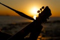 Young guy playing a guitar at sunset Royalty Free Stock Photo