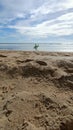 A young guy with a surfboard runs along the ocean in search of big waves Royalty Free Stock Photo