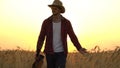 Young guy walks the golden wheat field in the rays of the sunset and plays the guitar. Royalty Free Stock Photo