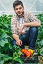 Young guy working in a greenhouse. Royalty Free Stock Photo