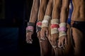 Young gymnasts girls line