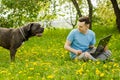 Young gyu freelincer at work on a laptop on a green grass and trees background Royalty Free Stock Photo