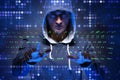 The young hacker in cyber security concept Royalty Free Stock Photo