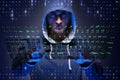 The young hacker in cyber security concept Royalty Free Stock Photo