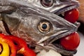 Young hake prepared for cooking with vegetables. Royalty Free Stock Photo