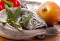 Young hake prepared for cooking with vegetables. Royalty Free Stock Photo