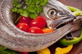 Young hake prepared for cooking with vegetables. Royalty Free Stock Photo