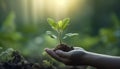 Young Hand Holding Plant: Symbol of Green Revolution