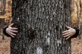 young hands hug tree with clear texture against the background of blurred red, autumn forest Royalty Free Stock Photo