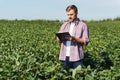 Young handsome agriculture engineer on soybean field with tablet in hands in early summer Royalty Free Stock Photo