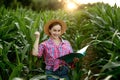 Young handsome agriculture engineer standing in corn field with tablet in early summer