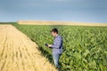 Farmer with tablet in field Royalty Free Stock Photo