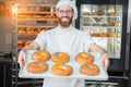 A young handsome baker holding fresh bagels with poppy seeds on a tray on the background of an oven and a rack with baked goods. Royalty Free Stock Photo